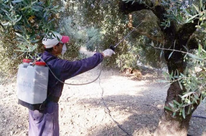 Ξεκινάει ο τρίτος ψεκασμός του προγράμματος δακοκτονίας στην Π.Ε. Πρέβεζας – Οι περιοχές στην Δήμο Ζηρού