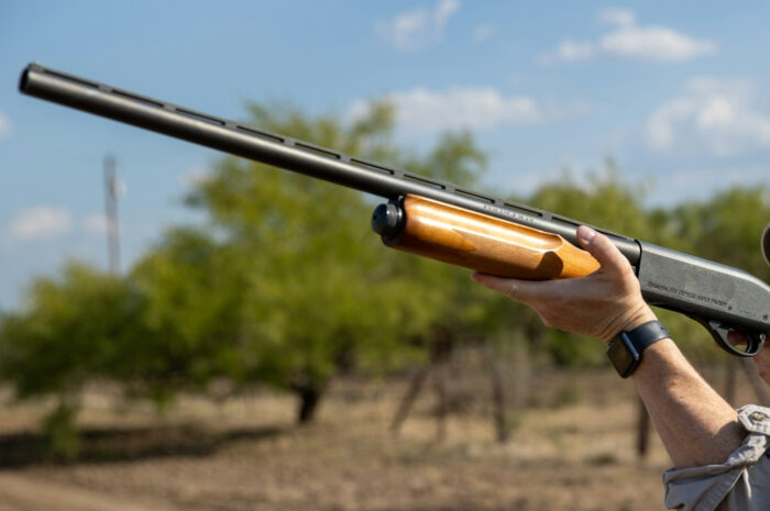 Τριετής απαγόρευση θήρας σε καμένες δασικές εκτάσεις του Δήμου Ζηρού