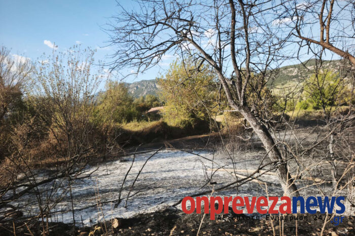 Καθοριστική η συνεργασία όλων στην αντιμετώπιση της πυρκαγιάς στο Θεσπρωτικό